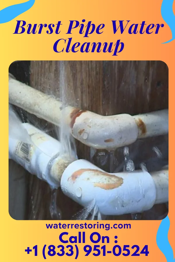 Burst Pipe Water Cleanup in Garland, NE